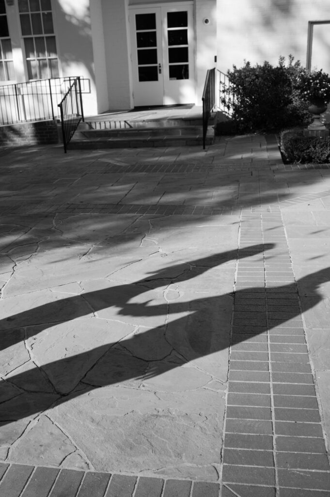 River Oaks Garden Club Engagement Photos